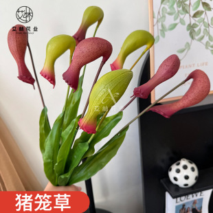 ����ֲ��-�i�\�ݻ�c���滨�Gֲ����Gֲ����ֲ��پGֲ�쾰