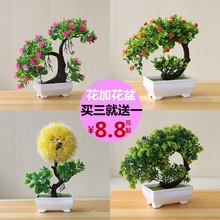 小盆栽装饰品 小盆栽装饰品品牌 图片 价格 小盆栽装饰品批发 阿里巴巴 小盆栽装饰品 小盆栽装饰品品牌 图片 价格 小盆栽装饰品批发 阿里巴巴