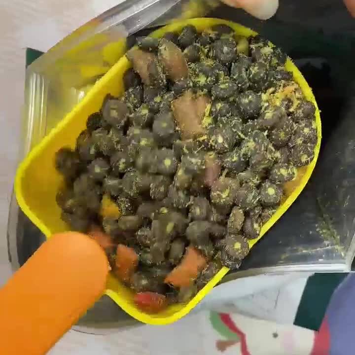 New puff pastry technology, fresh meat filling, meat floss wrapped, full-price, grain-free, crispy, and delicious cat food – perfect for cats who love to eat meat and gain weight