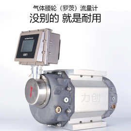 厂家直供天然气燃气罗茨流量计LLQ气体腰轮罗茨流量计气体流量表