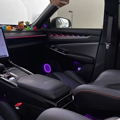 Panel (Dashboard) işıqlandırması is suitable for