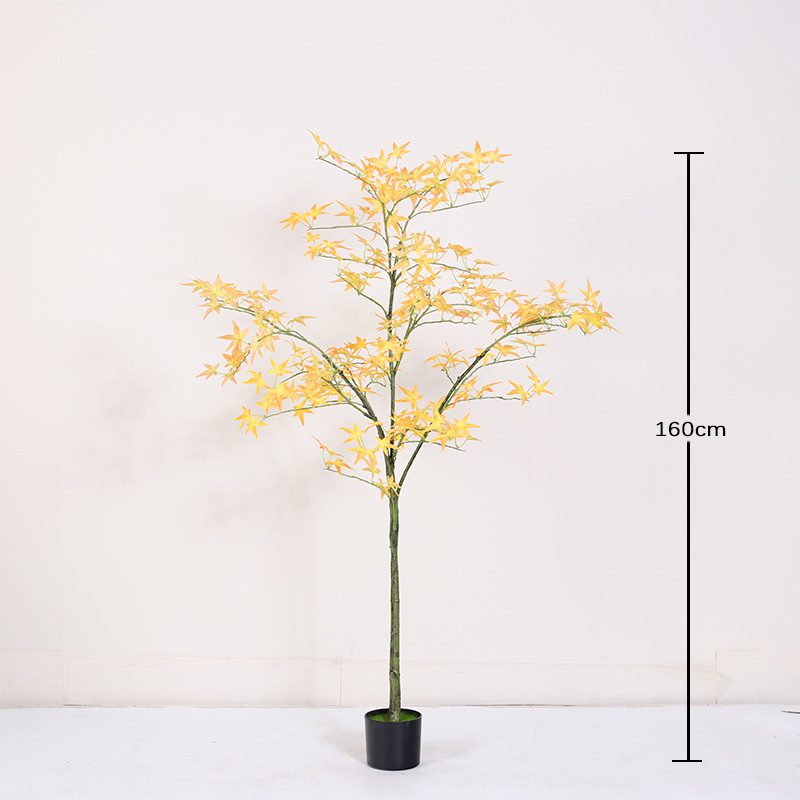 Mini maceta de hoja de arce amarilla regular 160cm (con maceta negra)