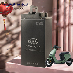 電気自動車バッテリー 48V20A 航続距離 60km リン酸鉄リチウム電池二輪バッテリー車充電式リチウム電池