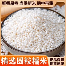 ��؛�r��Ŵ�׺����SС��޲�׸��������r�ּZ�G���S���t������s�Z