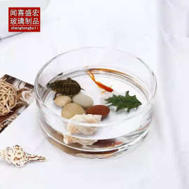 创意加厚小号圆形玻璃花盆水培一夜莲睡莲铜钱草玻璃花瓶玻璃缸