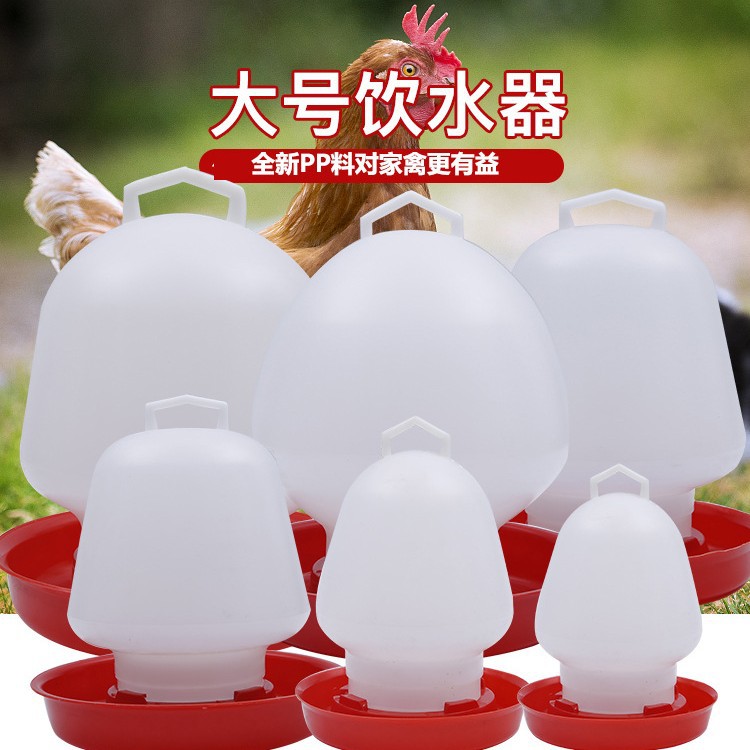 Dispensador de agua redondo para hervidor de pollo para Pato y ganso