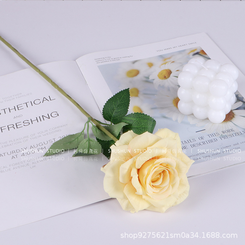 싱글 로즈-컬링 로즈