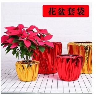 ��ɫ�����״����ԾGֲ����b����۽��껨�_�I�}�Q�����ײ���Ʒ