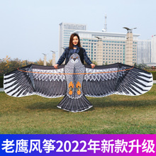 老鹰风筝大人网红儿童微风易飞成人型2024新款式板子风筝化纤布竹