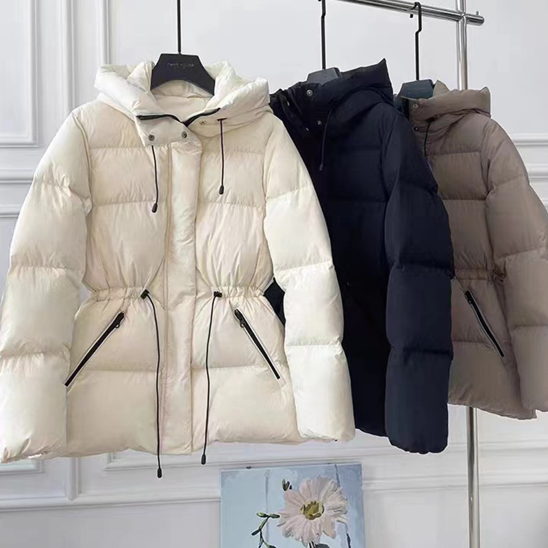 未标题-1_0008_微信图片_20231123153155