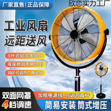 ���I��L�ȴ��͏���ţ���ȴ��ʴ��L�ȴ��L�����������AͲ�����