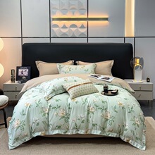 2025新款A类兰精天丝数码印花四件套