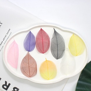 White Diamond Veined Magnolia Leaves Natural Leaves Eternal Flowers Hand-made Dried Flowers Colorful Mesh Bleached Leaves Specimen