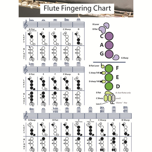 Wholesale flute chord fingering chart Flute Chord flute chord fingering chart Flute practice comparison chart