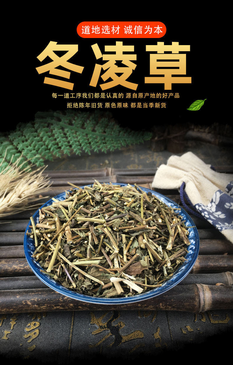 Dried Rabdosia Rubescens Herb Dong Ling Cao Whole Leaf Bulk Traditional Herbal Tea Ingredient key features