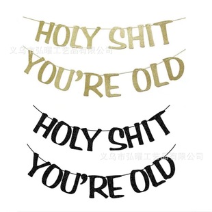 Cross-border New Father's Day HOLY SHIT YOU "RE OLD Birthday Party Letter Flag Decorative Banner