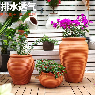 �t�ջ����ش�ڏ��M�ϑ���ͥԺ�@�־��^�չ���ʽ�f������[��