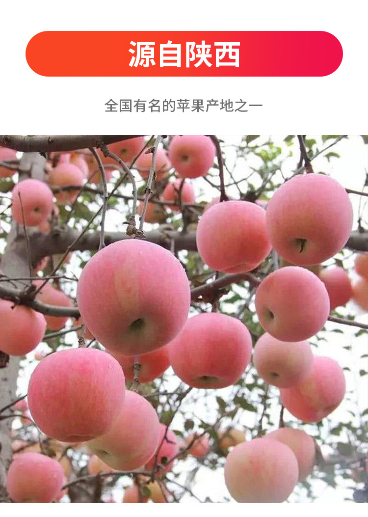 微信圖片_20211107203517