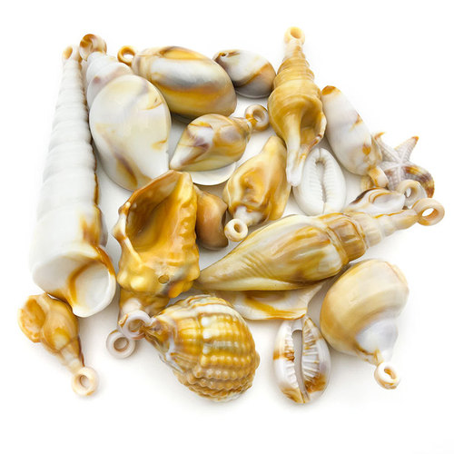 1 Acrylic Sea Shell Natural Dual Color Cloud Pattern Small Snail Pendant DIY Necklace Bracelet Keychain Material