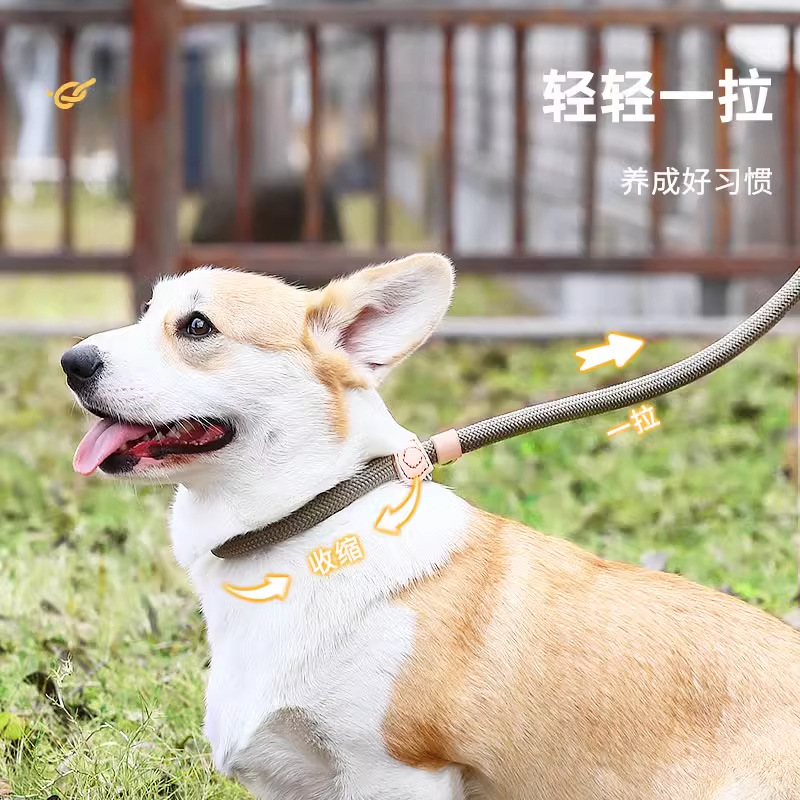 Correa de perro P collar de cadena Golden Retriever Cadena de perro pequeño mediano anti-rotura a prueba de explosiones ponche Corgi perro caminando cuerda