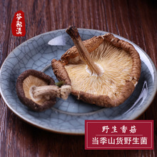 云南特产野生香菇小香菇菌干货1000g批发 农家蘑菇山货食用菌菌子
