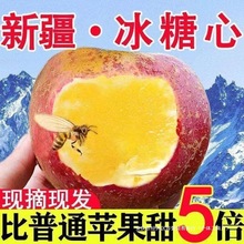 当季冰糖心新疆阿克苏新鲜红富士丑苹果新鲜水果整箱批发包邮一斤