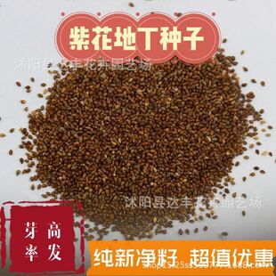 �ϻ��ض��N�����lҰ���ˡ�������ˡ��������˿���ș����ֱ�l