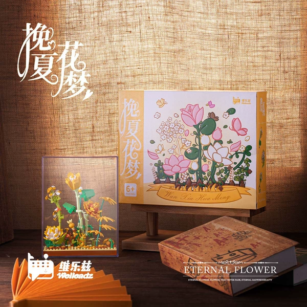 Dream of Xiahua Hua [Bring an acrylic dust cover]