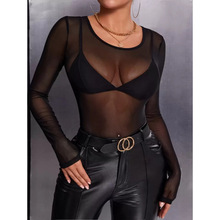 H 43774 Sheer mesh long sleeve top ȫ͸����ɴ��������