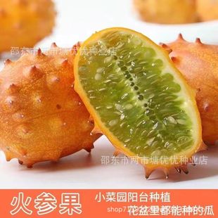 ��Ʒ�������N�ӷ��ޜ�ԷN�Ѵ̽ǹϻ��ǹ��Ѻ�������ɫˮ���N��