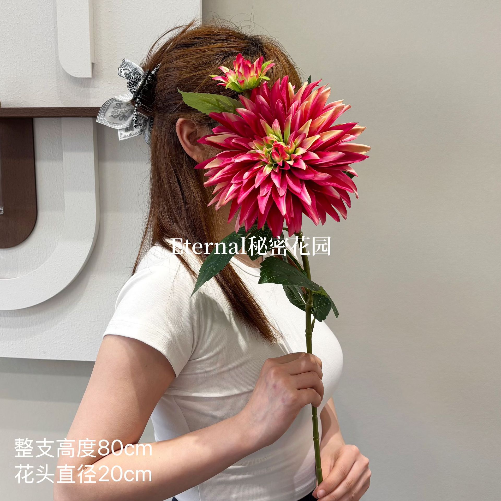 유럽 ​​달리아 로즈 레드 그라데이션