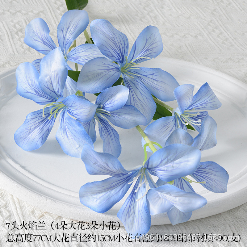 7-flame orchid dark blue