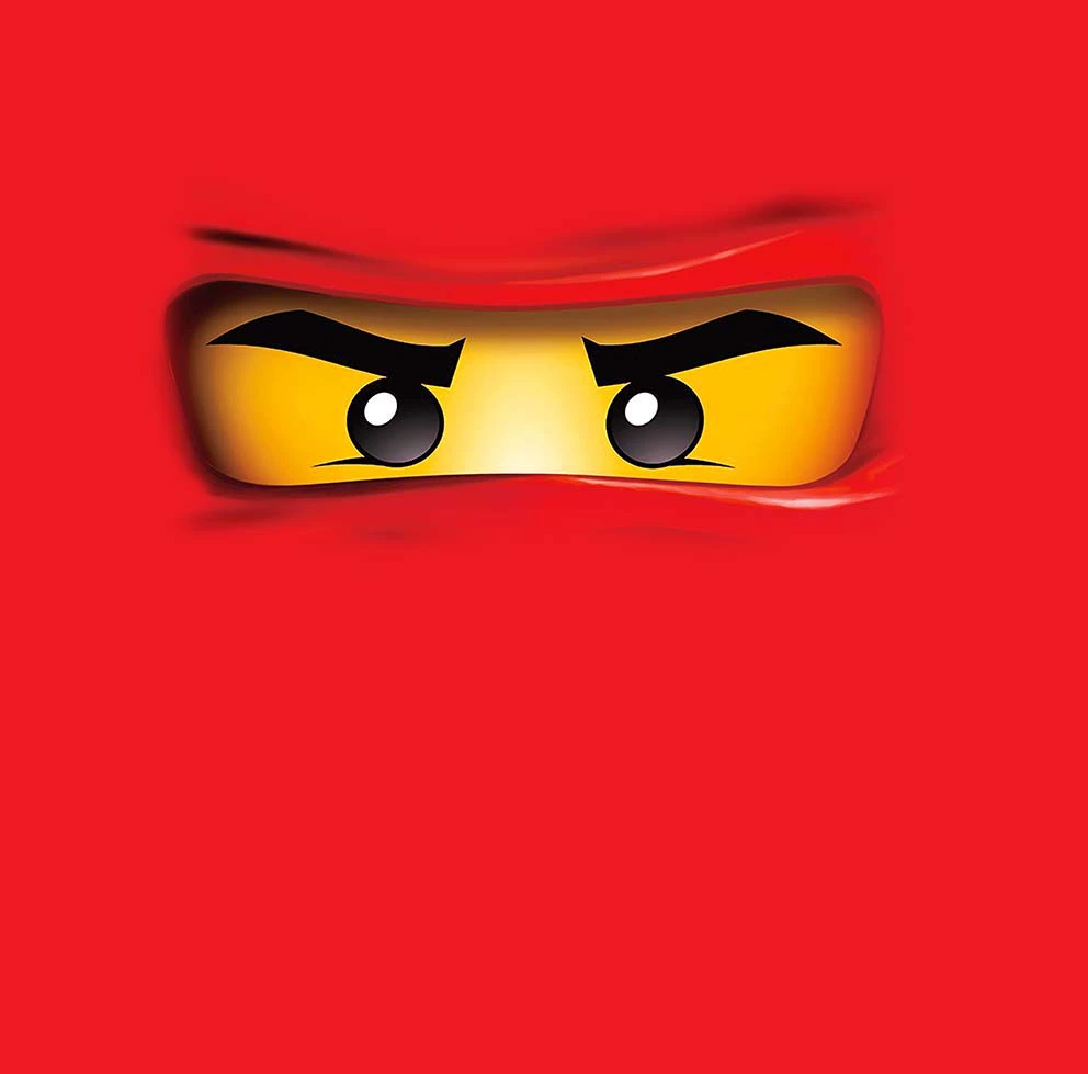 Фотозона (Lego Ninjago) баннер для праздника, тонкая ткань 150×100–300×300 см, разные цвета