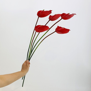 ��֦����t�ƻ��z�|�мٻ��Ҿ��b�c�쾰�廨 DIY �������l