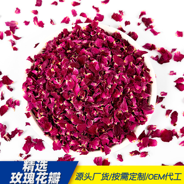 バラのバラの重弁の赤いバラの花びらはバラの花びらを食べます。|undefined