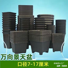 �A�����ϻ����賬С�Ӻ��̖�f��������������nʽС������⻨��