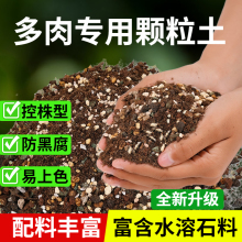 多肉营养土专用颗粒土栽培土进口泥炭种植土壤叶插花土纯铺面彩石