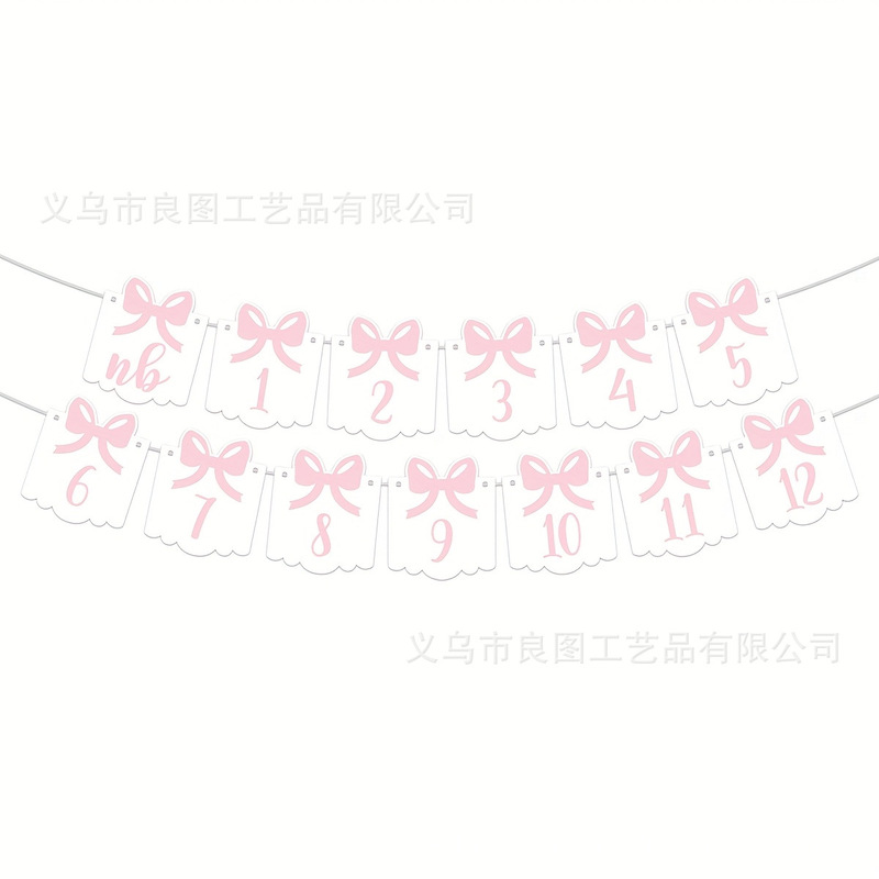 New 12 Months Pink Bow Photo DIY Word String Banner Baby Shower Decoration