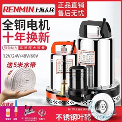 上海人民 12V24V48V60V72V DC 水中ポンプ家庭用農業ブラシ車電気自動車