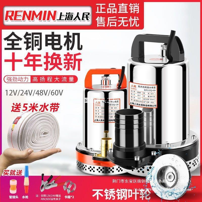 上海人民12V24V48V60V72V直流潜水泵抽水泵家用农用刷车电动车
