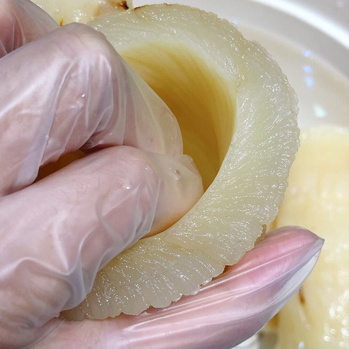 Pearl Swallowfish Collagen Dried Tissue, Taishan Swallowfish Collagen Wholesale, Yellow Jelly, Hong Kong Mudskipper Swallowfish Collagen