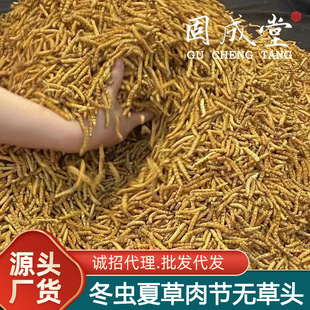 �����x�Ĳݡ��ߺ��΃������B����ȫ�⹝������r�x����������