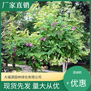 ���ع��� ���N����ֲ�� ë�� �t���� ���ϻ� Ҏ���Rȫ