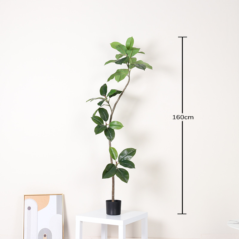 Ficus de hoja verde-160cm