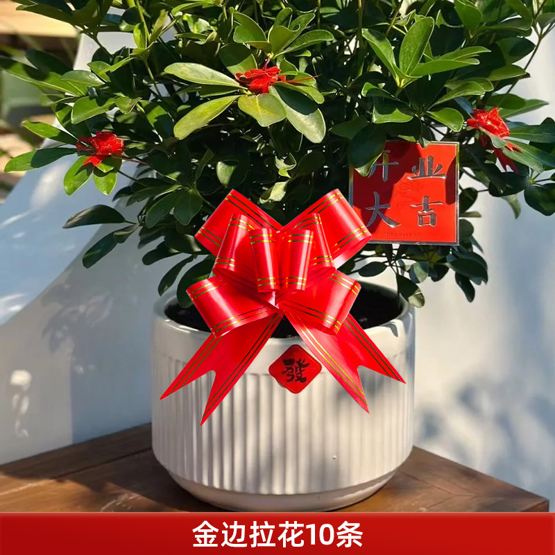 开业气氛布置新店装饰大吉套装礼物摆件生意兴隆店铺门口气球场景|undefined