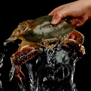 ������з����з�r���ك���з�wз��з��з��зĸз�з