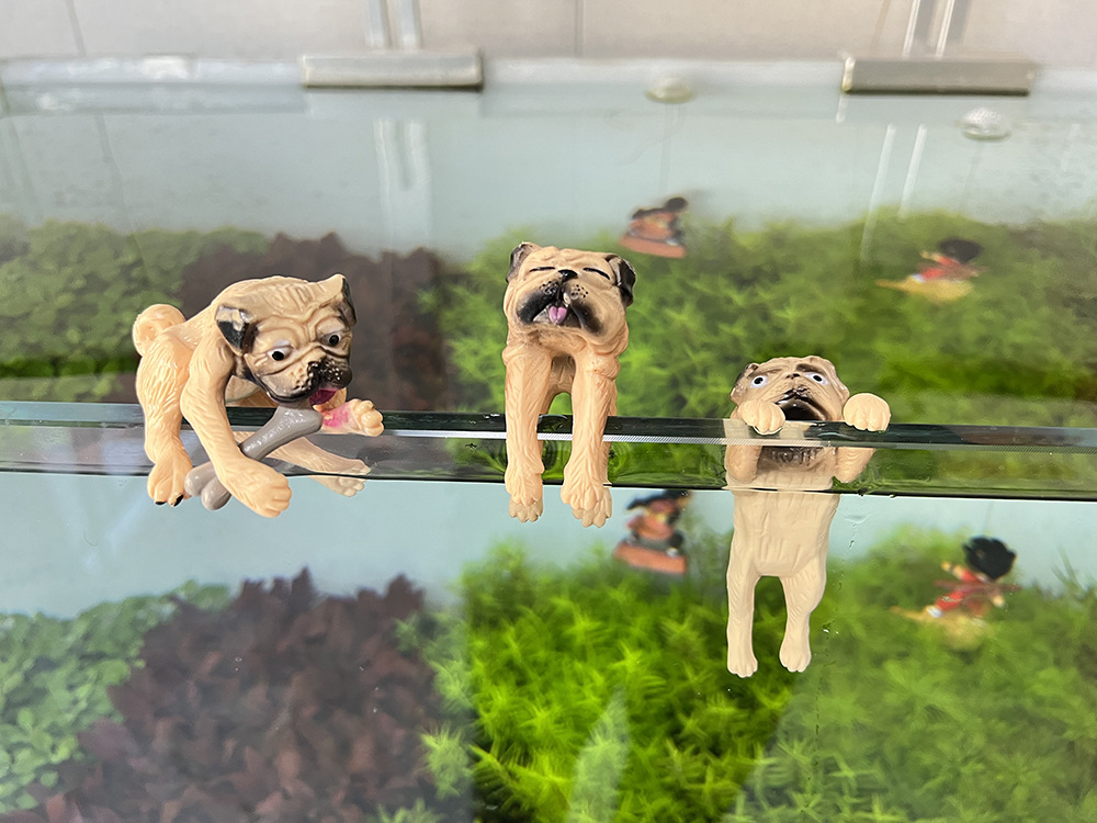 Большой скворец светло-желтого цвета, набор из трех штук.