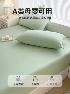 ?�����ֆμ�100���޴��ַ��m2026�¿�|���o�ִ���������