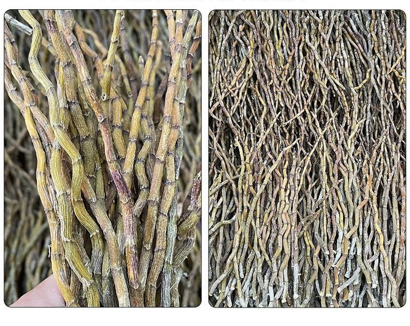 Tie Pi Shi Hu Dried Dendrobium Stems 500g for Tea and Soup quality and texture