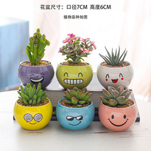 ����ֲ������M��С�������ֺ����k������Gֲ���܎���